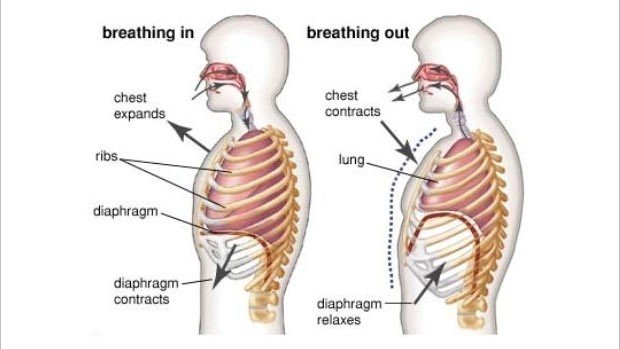 Diaphragmatic Breathing