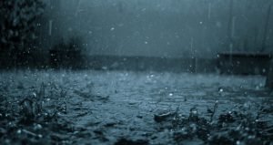 Read more about the article Tips To Eat Healthy In Monsoon